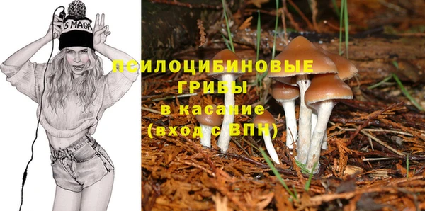 дмт Козельск