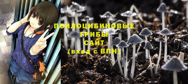 не бодяженный Козловка
